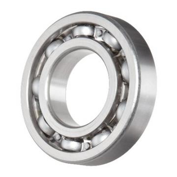 SKF Cylindrical Roller Bearing Nup202/203/204/205/206/207/208/209/210/211/212/213/214/215